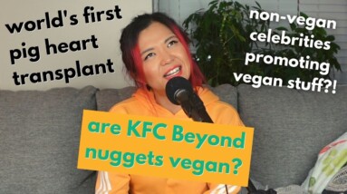 My Controversial Opinions: Pig Heart Transplant...WTF? KFC Beyond Nuggets, Celebs & Veganism