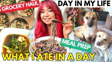 WHAT I ATE IN A DAY | Vegan Grocery Haul, Meal Prep, Day in My Life as a YouTuber