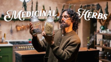 Growing My Own Medicine; 10 Healing Herbs You Must Know 🌿