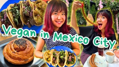 WHAT I ATE IN A DAY: Most VEGAN FRIENDLY CITY in Latin America (Mexico City TRAVEL VLOG)