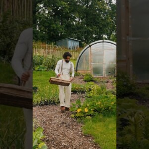 Would you order this dish? 🌿 recipe in my new book plant to plate, please support me 🙏 #shorts