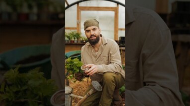 GROW GIANT VEGETABLES WOTH THIS PLANT FEED! 2 INGREDIENTS! 🌿 #shorts